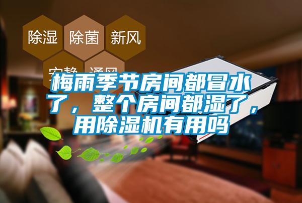 梅雨季節(jié)房間都冒水了，整個房間都濕了，用除濕機有用嗎