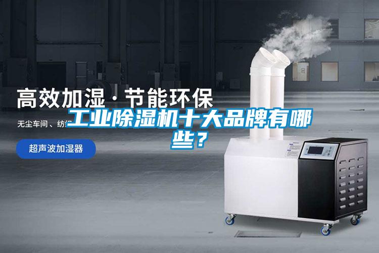 工業(yè)除濕機(jī)十大品牌有哪些？