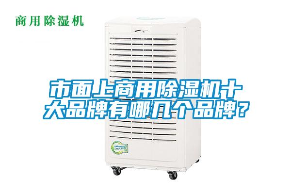 市面上商用除濕機(jī)十大品牌有哪幾個(gè)品牌？