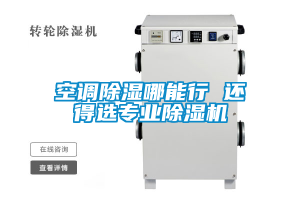 空調(diào)除濕哪能行 還得選專(zhuān)業(yè)除濕機(jī)