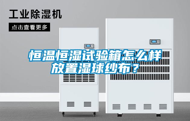 恒溫恒濕試驗箱怎么樣放置濕球紗布？