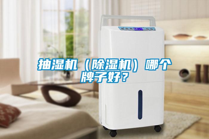 抽濕機(jī)（除濕機(jī)）哪個(gè)牌子好？