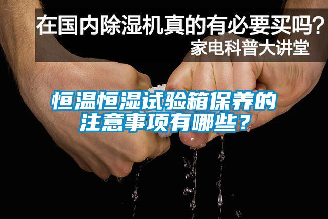 恒溫恒濕試驗(yàn)箱保養(yǎng)的注意事項(xiàng)有哪些？