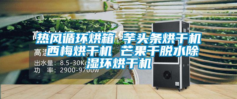 熱風循環(huán)烘箱 芋頭條烘干機 西梅烘干機 芒果干脫水除濕環(huán)烘干機