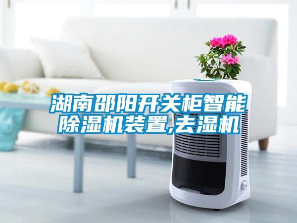 湖南邵陽開關(guān)柜智能除濕機裝置,去濕機