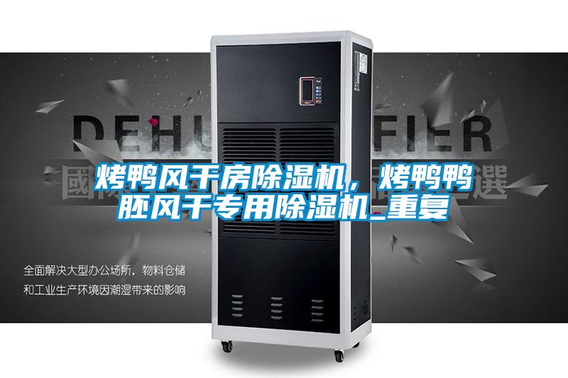 烤鴨風(fēng)干房除濕機，烤鴨鴨胚風(fēng)干專用除濕機_重復(fù)