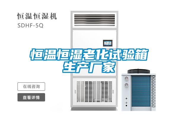 恒溫恒濕老化試驗箱生產(chǎn)廠家