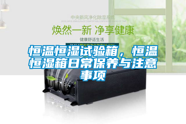 恒溫恒濕試驗(yàn)箱，恒溫恒濕箱日常保養(yǎng)與注意事項(xiàng)