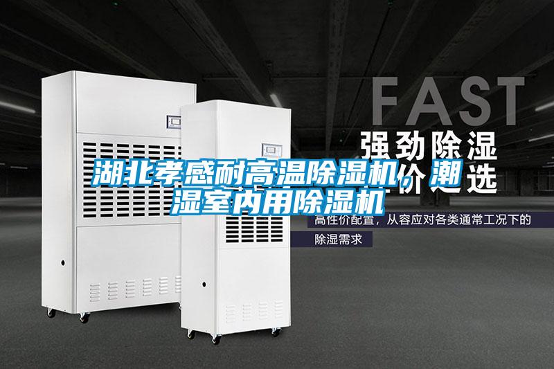湖北孝感耐高溫除濕機，潮濕室內(nèi)用除濕機