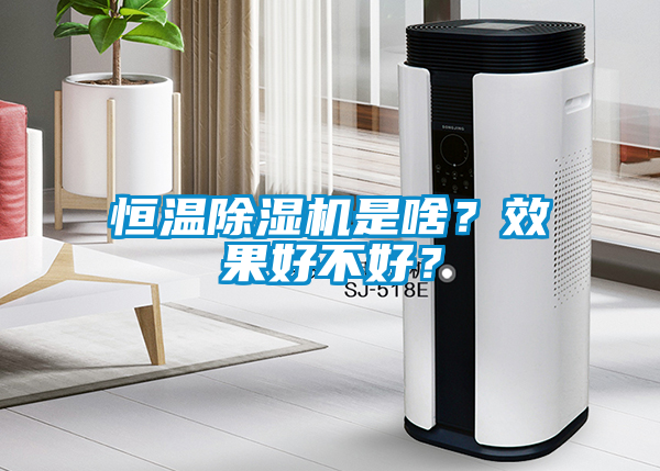 恒溫除濕機(jī)是啥？效果好不好？