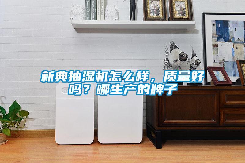 新典抽濕機(jī)怎么樣，質(zhì)量好嗎？哪生產(chǎn)的牌子
