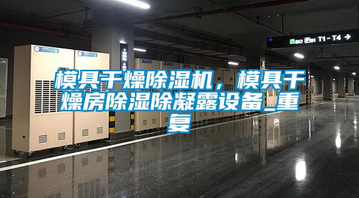 模具干燥除濕機(jī)，模具干燥房除濕除凝露設(shè)備_重復(fù)