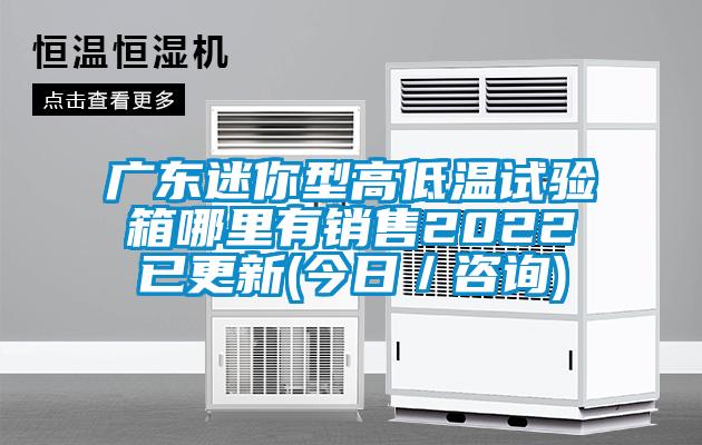 廣東迷你型高低溫試驗(yàn)箱哪里有銷(xiāo)售2022已更新(今日／咨詢(xún))