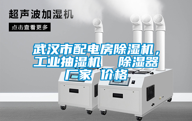 武漢市配電房除濕機，工業(yè)抽濕機  除濕器廠家 價格