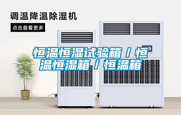 恒溫恒濕試驗箱／恒溫恒濕箱／恒溫箱