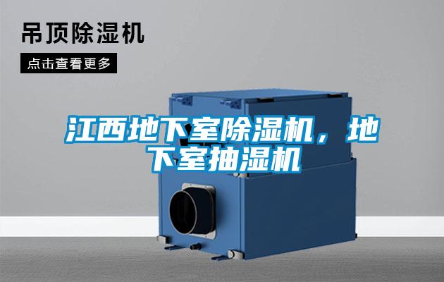 江西地下室除濕機(jī)，地下室抽濕機(jī)