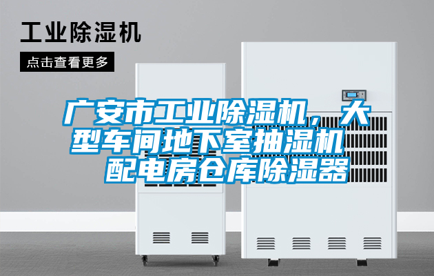 廣安市工業(yè)除濕機(jī)，大型車間地下室抽濕機(jī)  配電房倉庫除濕器