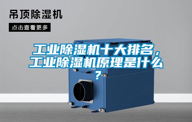 工業(yè)除濕機(jī)十大排名，工業(yè)除濕機(jī)原理是什么？