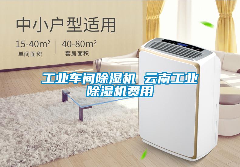 工業(yè)車間除濕機(jī) 云南工業(yè)除濕機(jī)費用