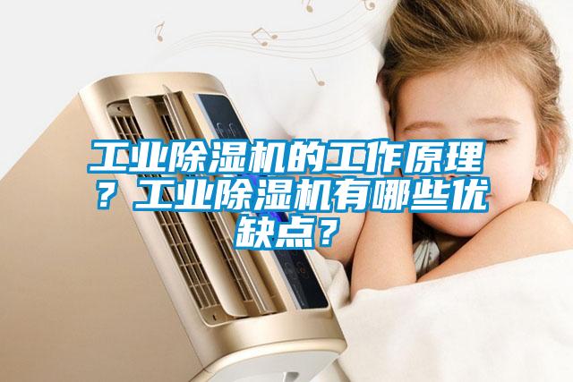 工業(yè)除濕機的工作原理？工業(yè)除濕機有哪些優(yōu)缺點？