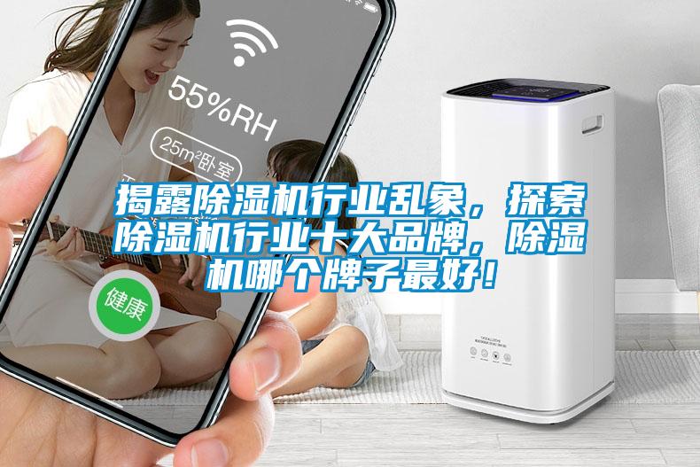 揭露除濕機行業(yè)亂象，探索除濕機行業(yè)十大品牌，除濕機哪個牌子最好！