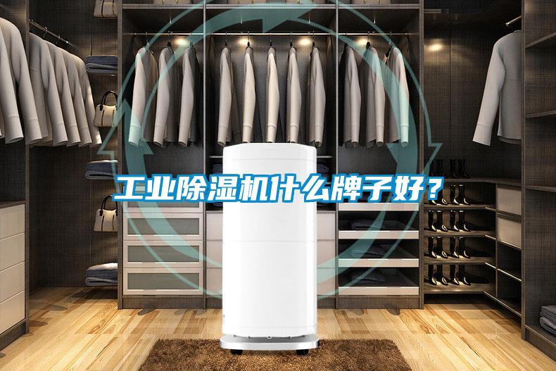 工業(yè)除濕機(jī)什么牌子好？