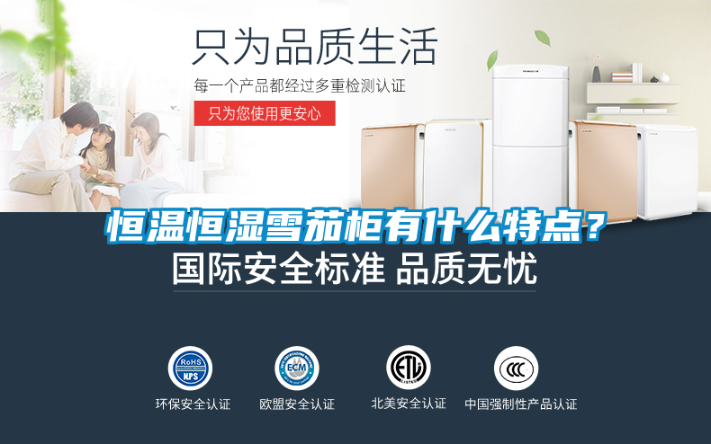 恒溫恒濕雪茄柜有什么特點(diǎn)？