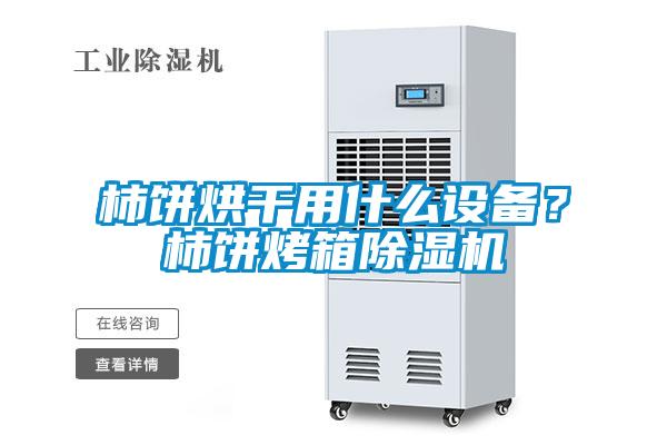 柿餅烘干用什么設(shè)備？柿餅烤箱除濕機