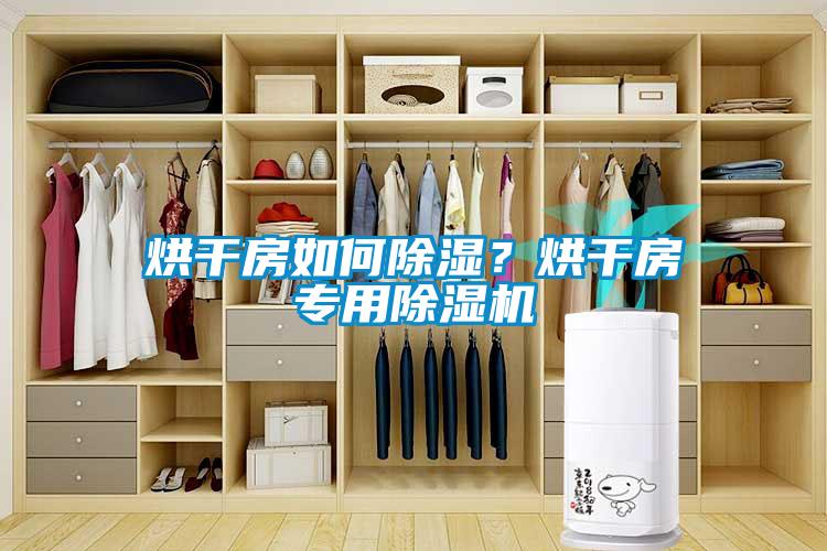 烘干房如何除濕？烘干房專用除濕機(jī)