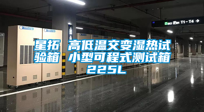 星拓 高低溫交變濕熱試驗(yàn)箱 小型可程式測(cè)試箱 225L