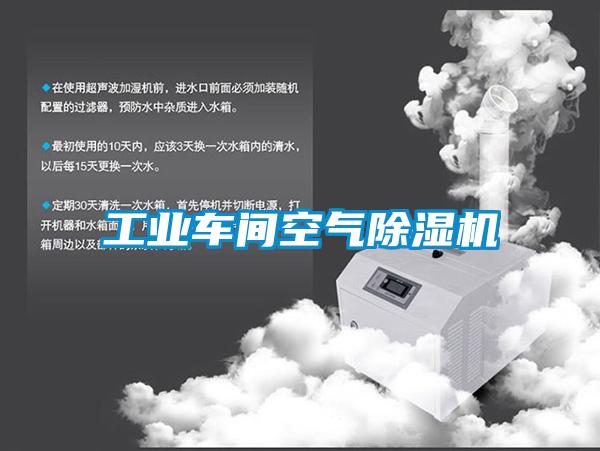 工業(yè)車(chē)間空氣除濕機(jī)