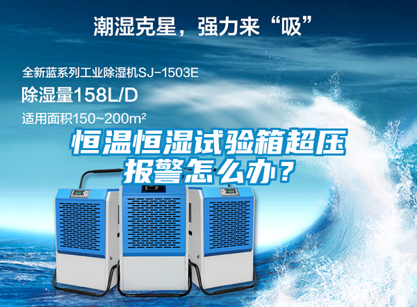 恒溫恒濕試驗(yàn)箱超壓報(bào)警怎么辦？