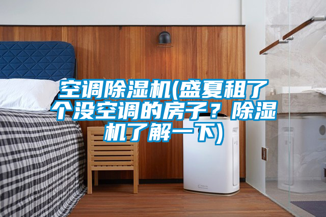 空調(diào)除濕機(盛夏租了個沒空調(diào)的房子？除濕機了解一下)