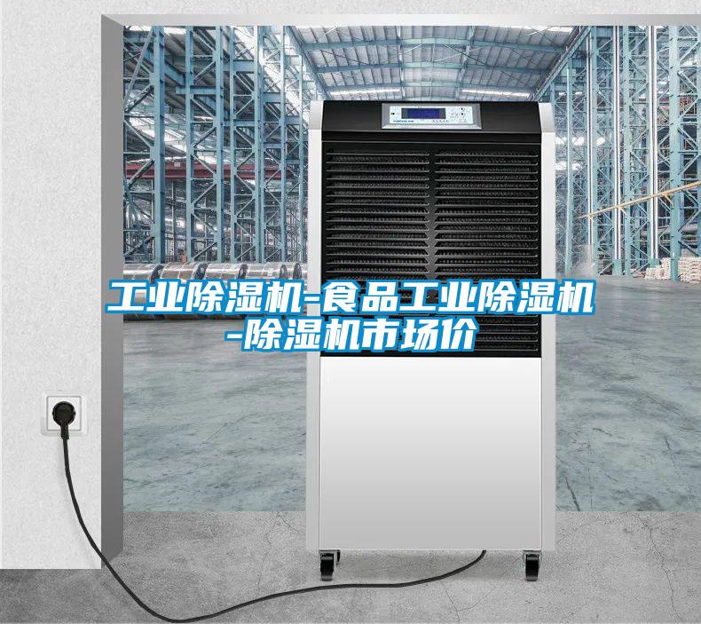工業(yè)除濕機(jī)-食品工業(yè)除濕機(jī)-除濕機(jī)市場價
