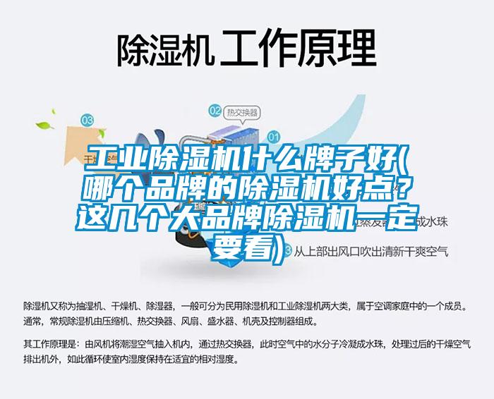 工業(yè)除濕機什么牌子好(哪個品牌的除濕機好點？這幾個大品牌除濕機一定要看)