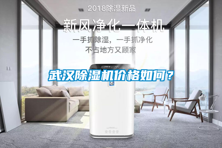 武漢除濕機(jī)價(jià)格如何？