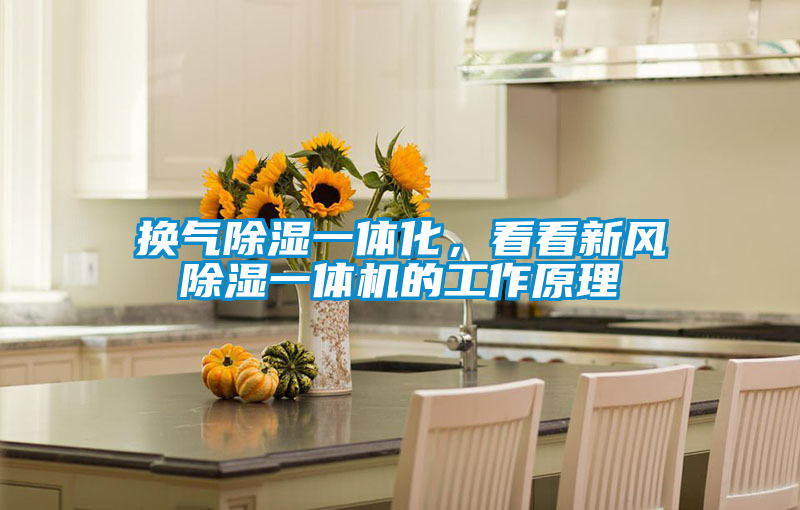 換氣除濕一體化，看看新風(fēng)除濕一體機(jī)的工作原理