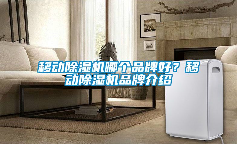 移動(dòng)除濕機(jī)哪個(gè)品牌好？移動(dòng)除濕機(jī)品牌介紹