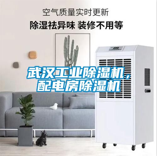 武漢工業(yè)除濕機(jī)，配電房除濕機(jī)