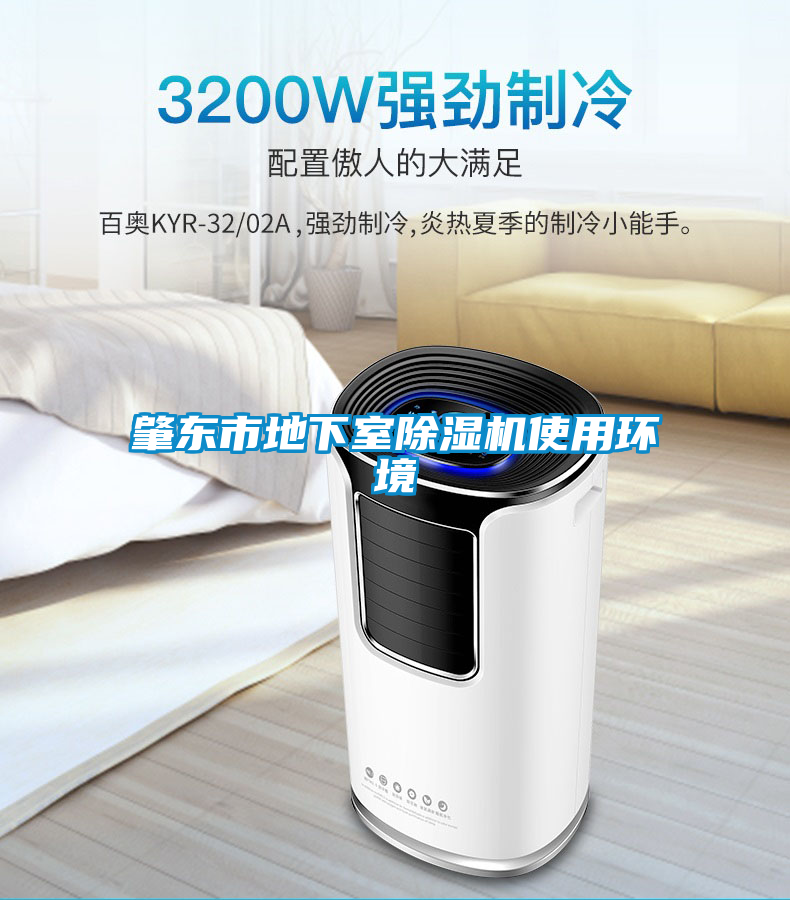 肇東市地下室除濕機(jī)使用環(huán)境