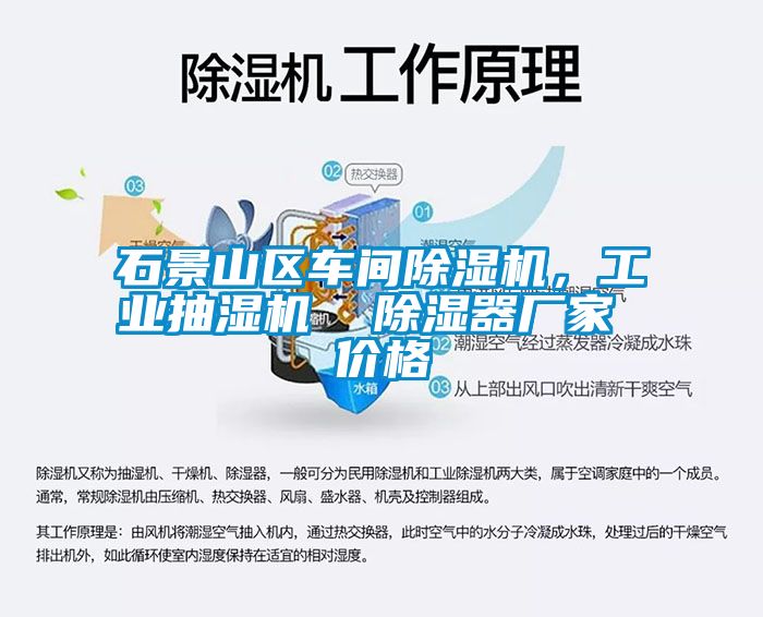 石景山區(qū)車間除濕機，工業(yè)抽濕機  除濕器廠家 價格