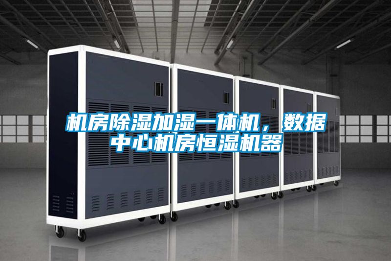 機(jī)房除濕加濕一體機(jī)，數(shù)據(jù)中心機(jī)房恒濕機(jī)器