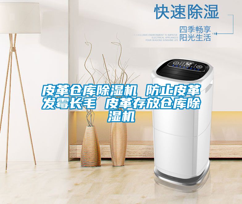 皮革倉庫除濕機(jī) 防止皮革發(fā)霉長毛 皮革存放倉庫除濕機(jī)