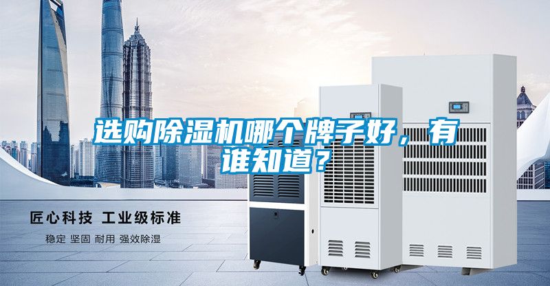 選購除濕機(jī)哪個牌子好，有誰知道？