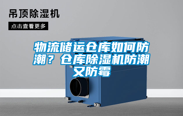 物流儲(chǔ)運(yùn)倉庫如何防潮？倉庫除濕機(jī)防潮又防霉