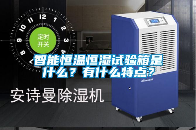 智能恒溫恒濕試驗箱是什么？有什么特點(diǎn)？
