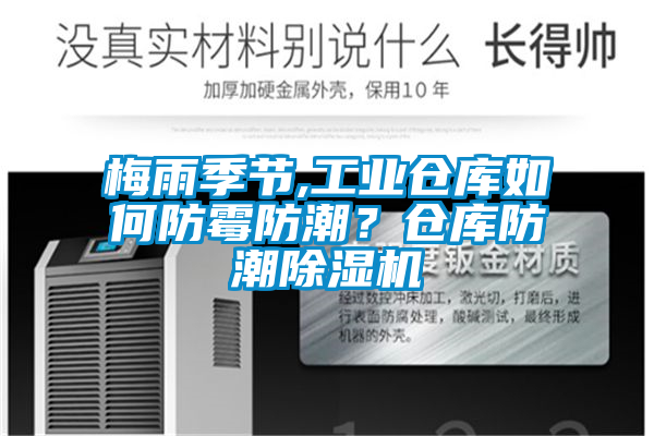 梅雨季節(jié),工業(yè)倉庫如何防霉防潮？倉庫防潮除濕機
