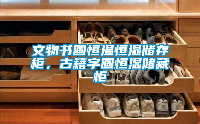 文物書畫恒溫恒濕儲存柜，古籍字畫恒濕儲藏柜