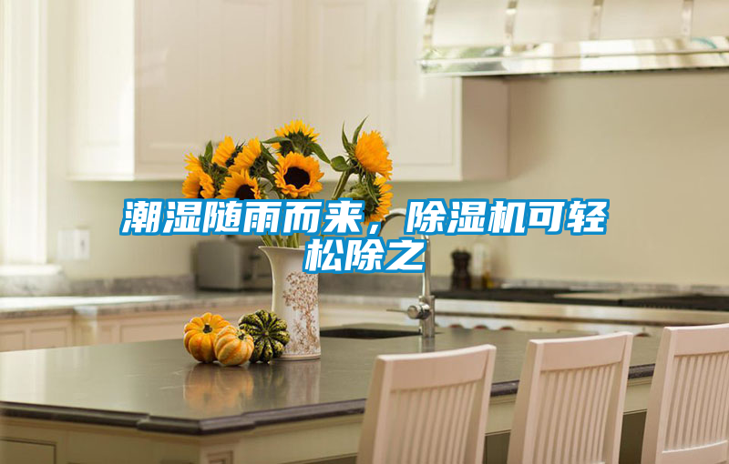 潮濕隨雨而來(lái)，除濕機(jī)可輕松除之
