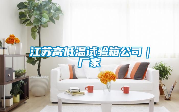 江蘇高低溫試驗箱公司|廠家